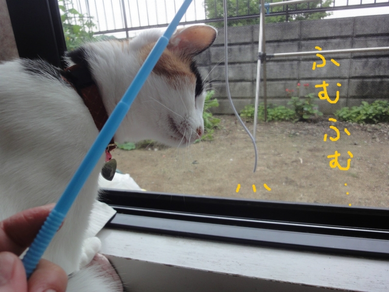 f:id:gosaku13:20130627135445j:image