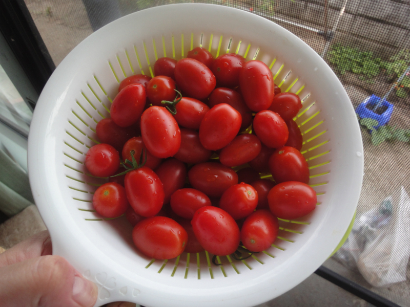 f:id:gosaku13:20130801092724j:image