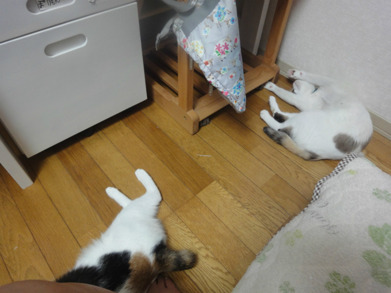 f:id:gosaku13:20130802105601j:image