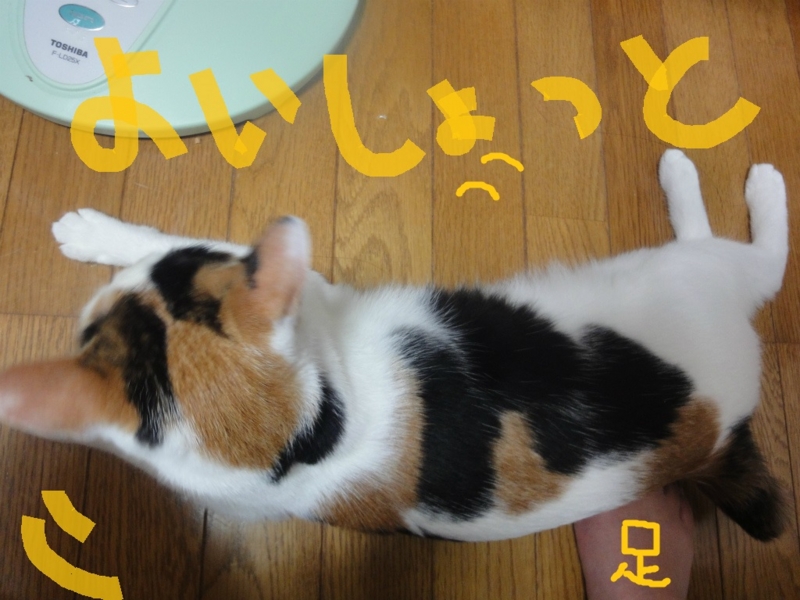 f:id:gosaku13:20130802105602j:image