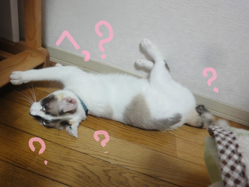 f:id:gosaku13:20130802105935j:image