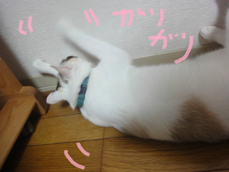 f:id:gosaku13:20130802105937j:image