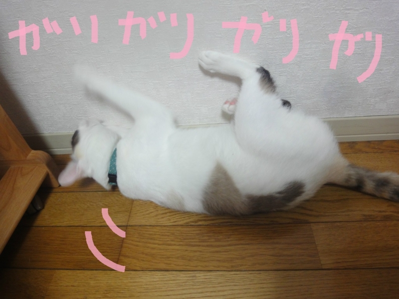 f:id:gosaku13:20130802105941j:image