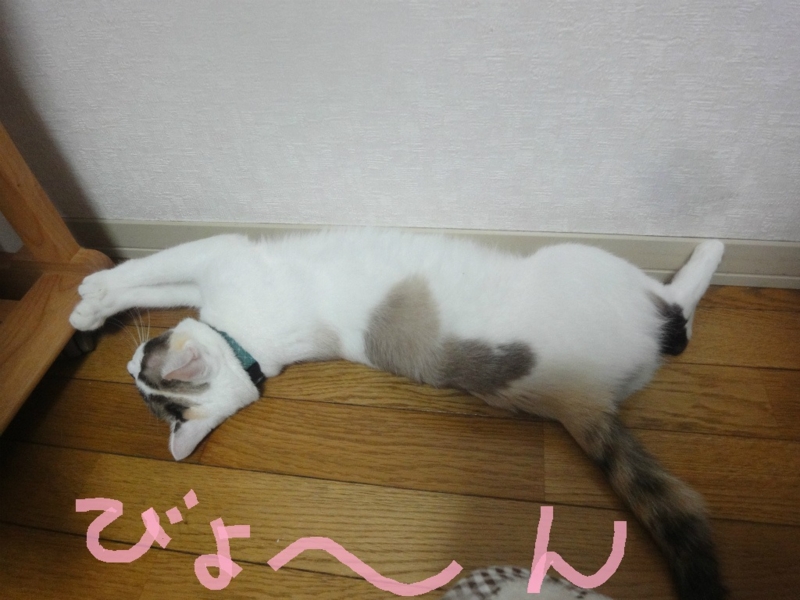 f:id:gosaku13:20130802105943j:image