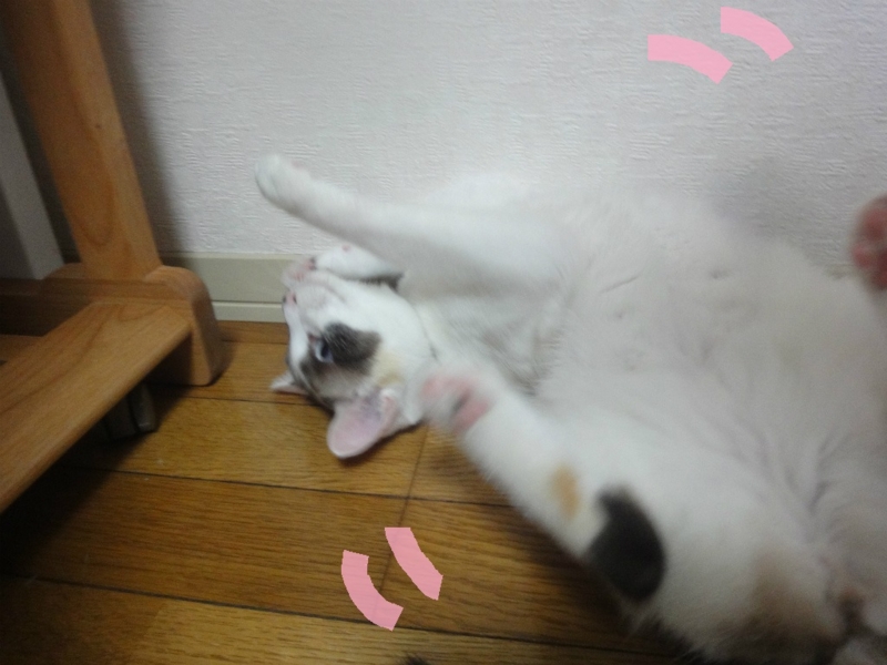 f:id:gosaku13:20130802105947j:image