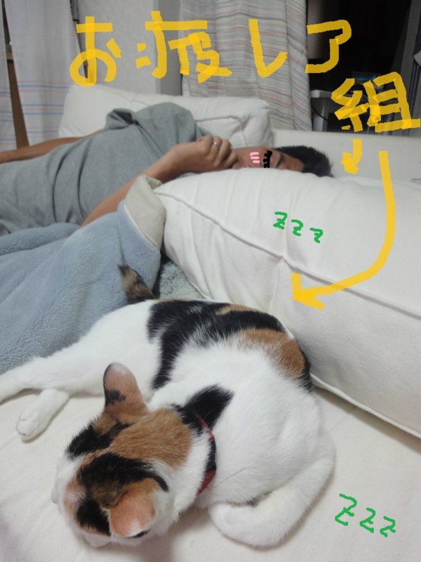 f:id:gosaku13:20130806122027j:image