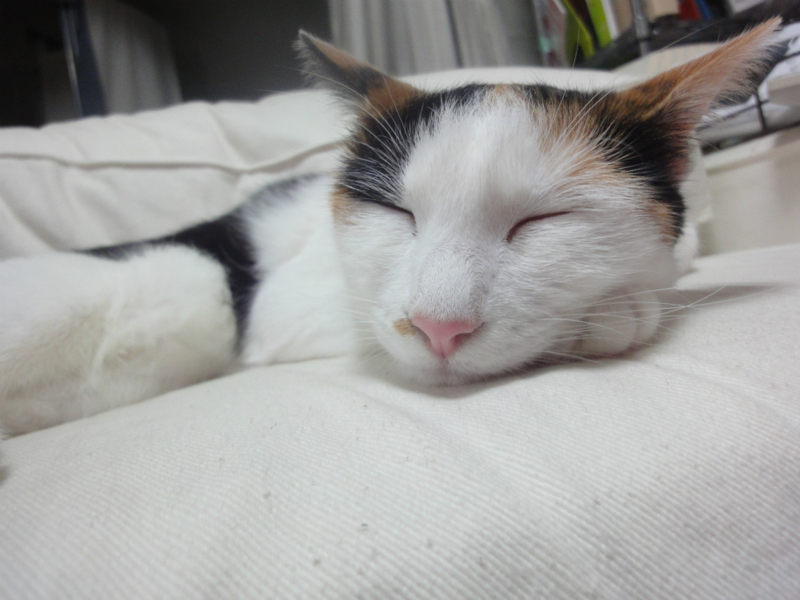 f:id:gosaku13:20130806122028j:image