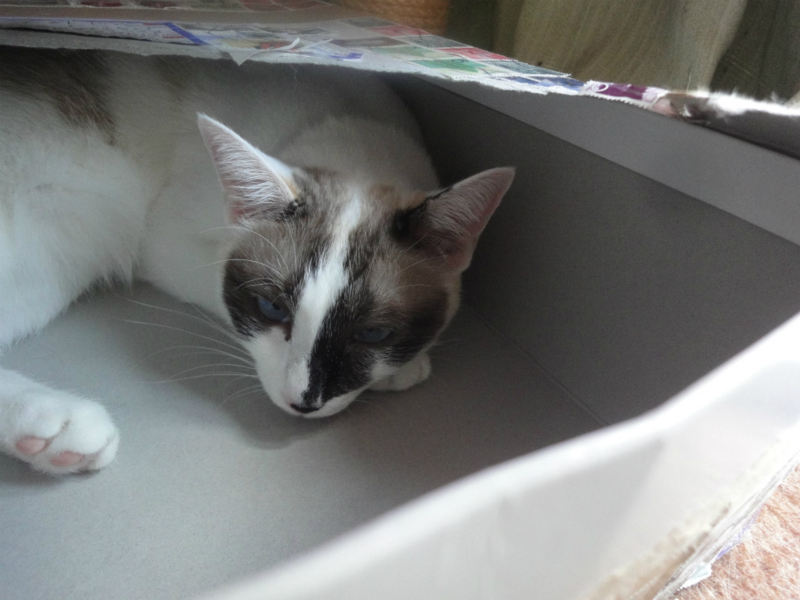 f:id:gosaku13:20130812093907j:image