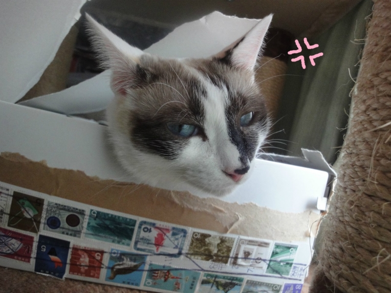 f:id:gosaku13:20130813202353j:image