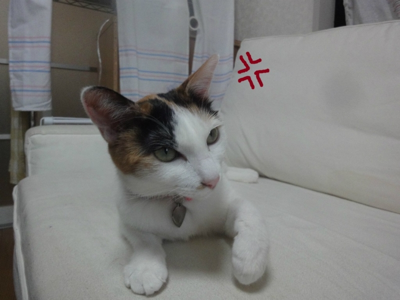 f:id:gosaku13:20130813202354j:image