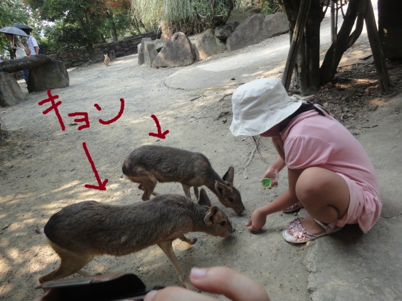 f:id:gosaku13:20130813202356j:image