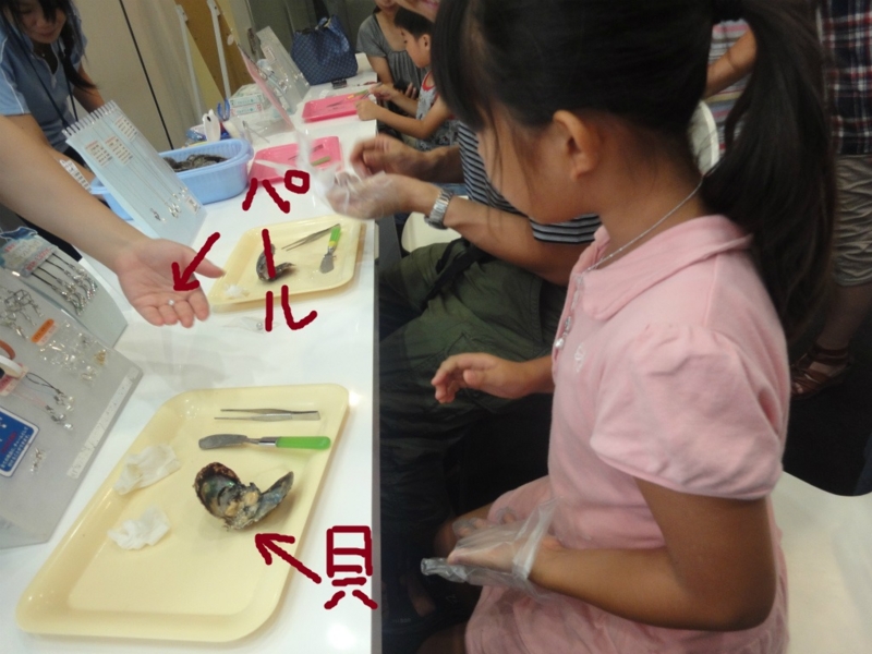 f:id:gosaku13:20130813202401j:image