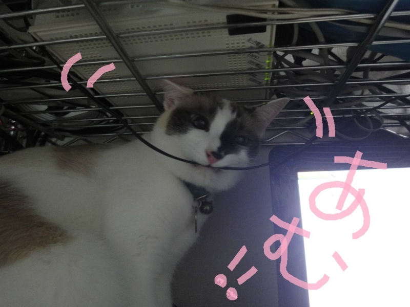 f:id:gosaku13:20130814151506j:image