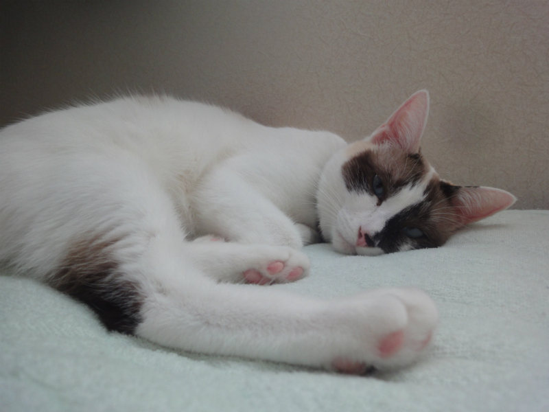 f:id:gosaku13:20130817124255j:image