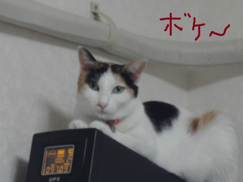 f:id:gosaku13:20130819230607j:image