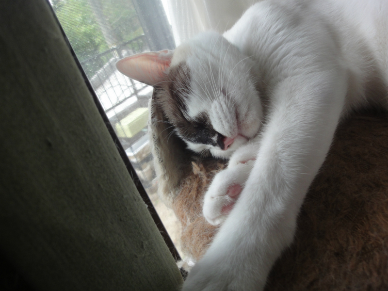 f:id:gosaku13:20130821125223j:image