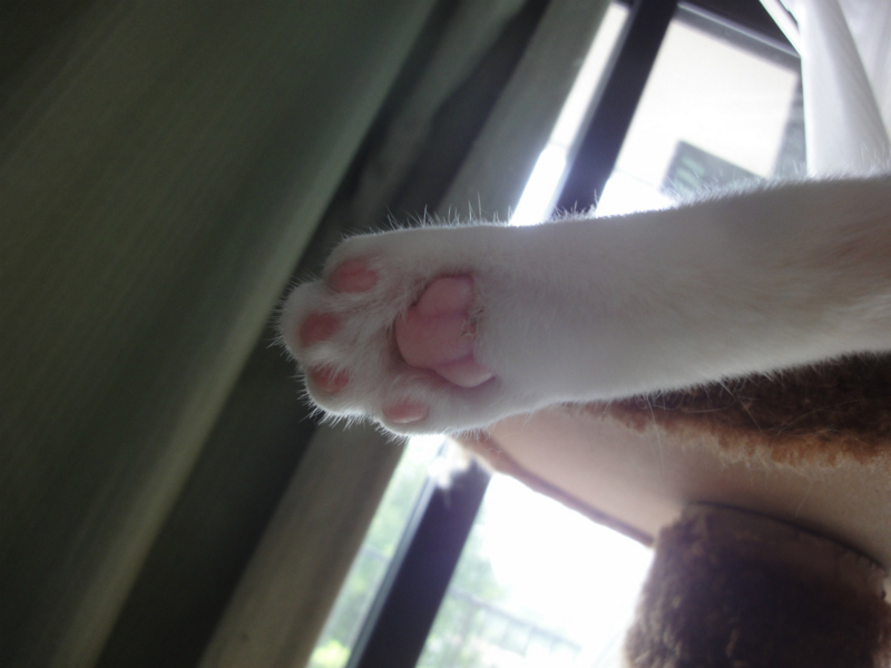 f:id:gosaku13:20130821125225j:image