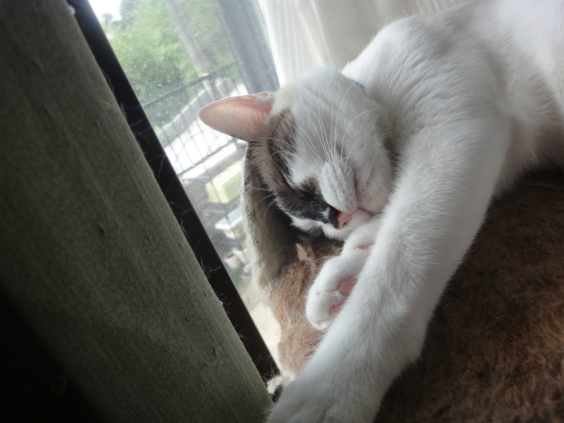 f:id:gosaku13:20130821125227j:image