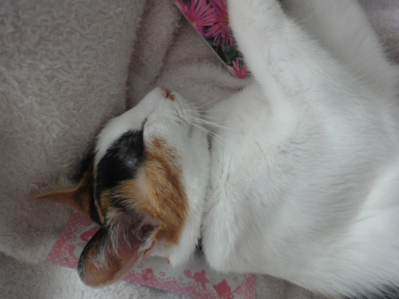 f:id:gosaku13:20130823125440j:image