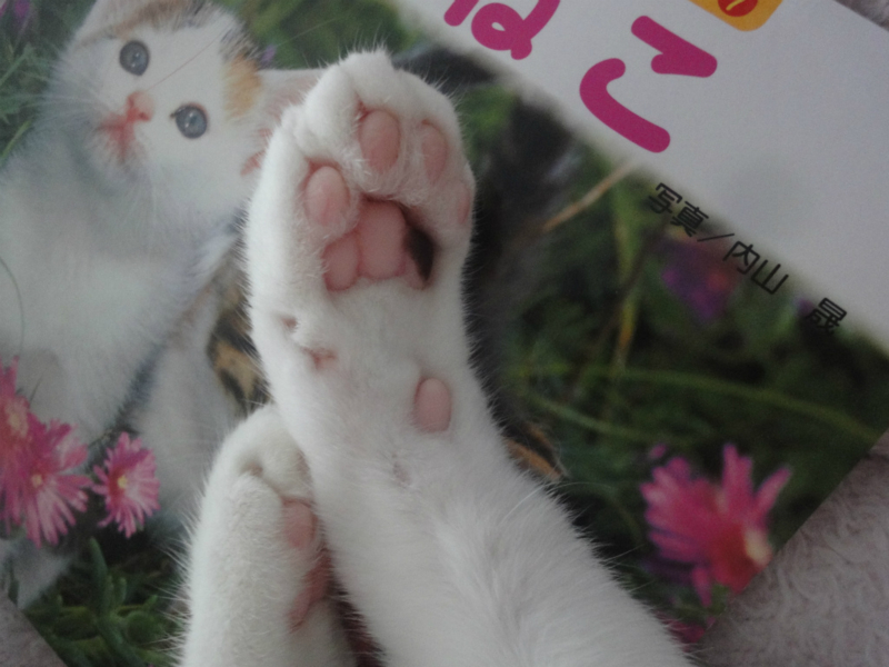 f:id:gosaku13:20130823125651j:image