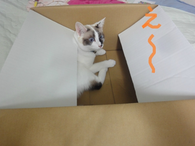 f:id:gosaku13:20130827202210j:image