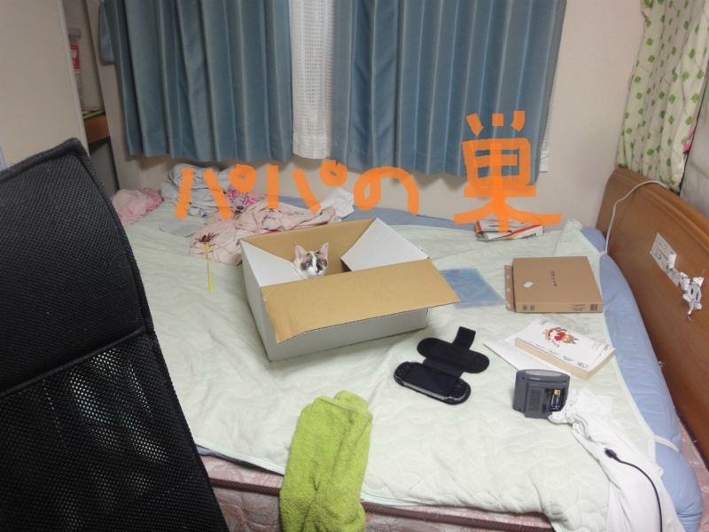 f:id:gosaku13:20130827202213j:image