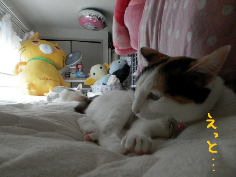 f:id:gosaku13:20130906201634j:image