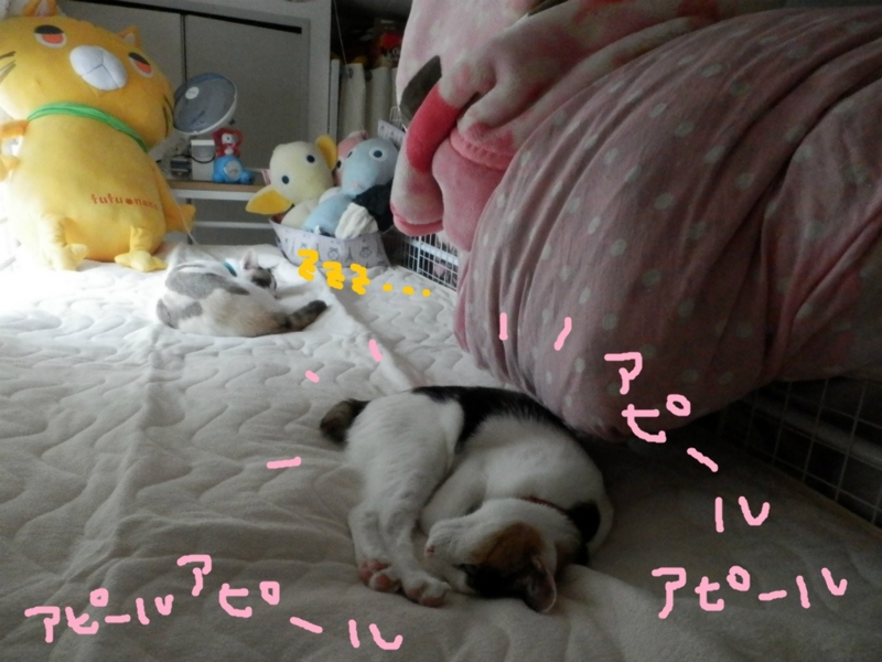 f:id:gosaku13:20130906201827j:image