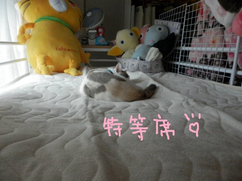 f:id:gosaku13:20130906201829j:image