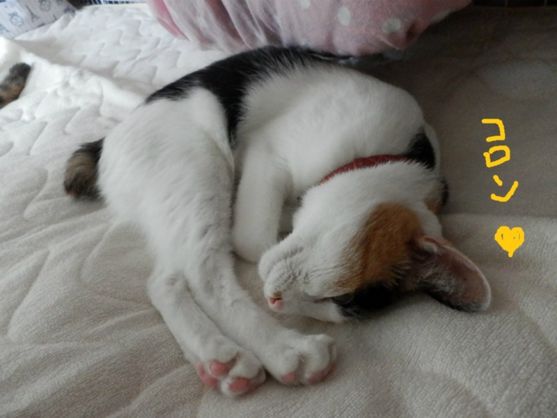 f:id:gosaku13:20130906201831j:image