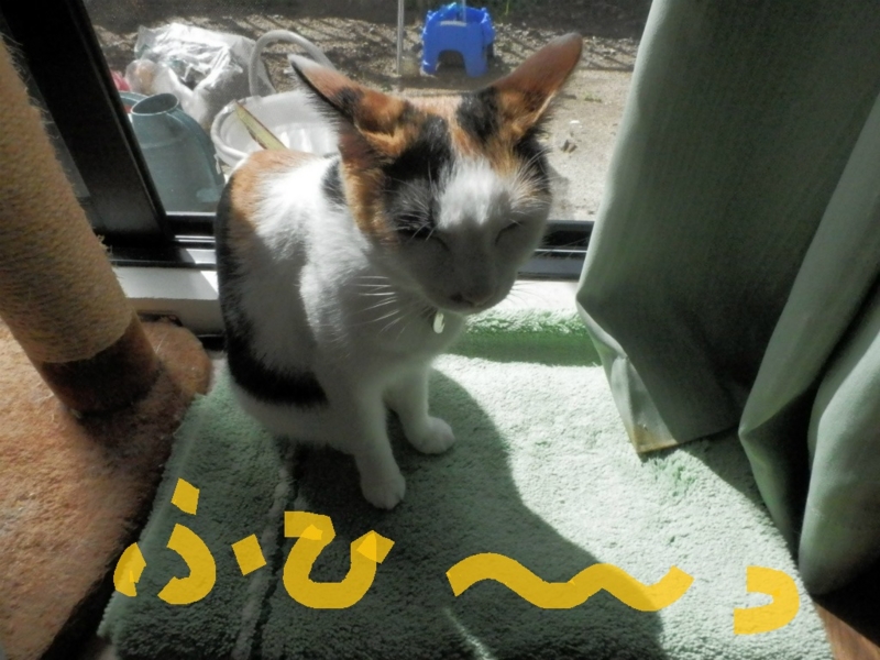 f:id:gosaku13:20130907192810j:image