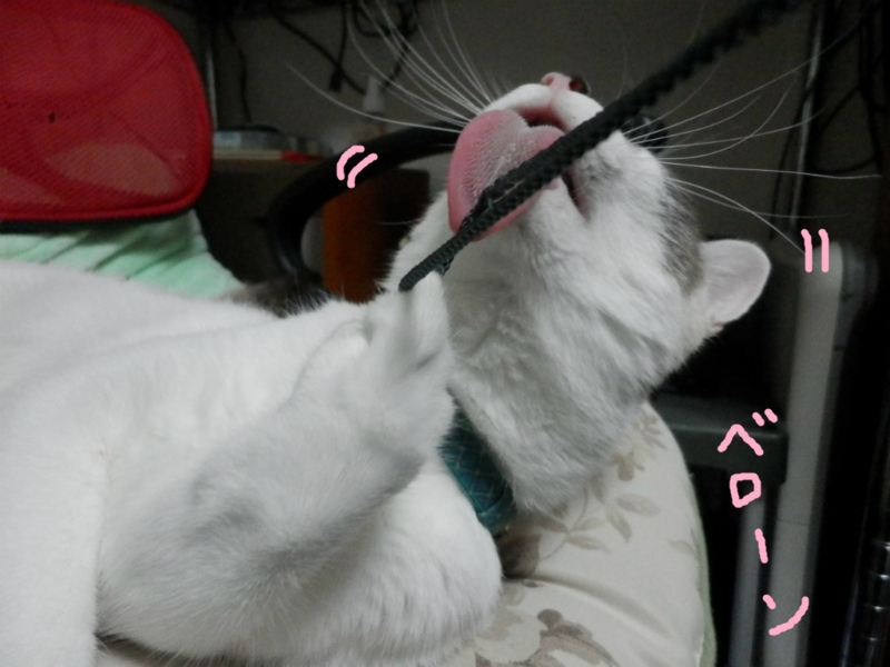 f:id:gosaku13:20130910091808j:image