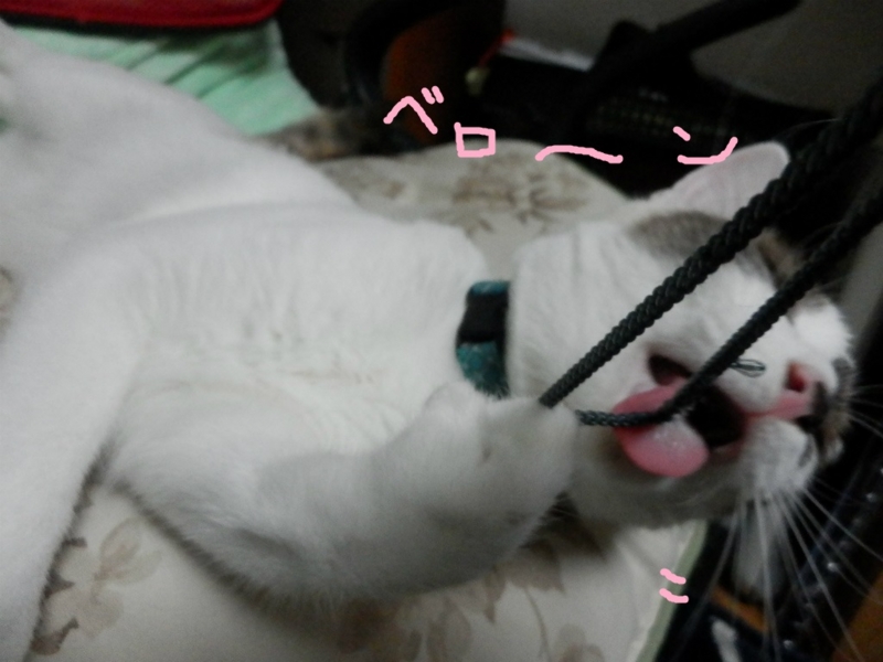 f:id:gosaku13:20130910091810j:image