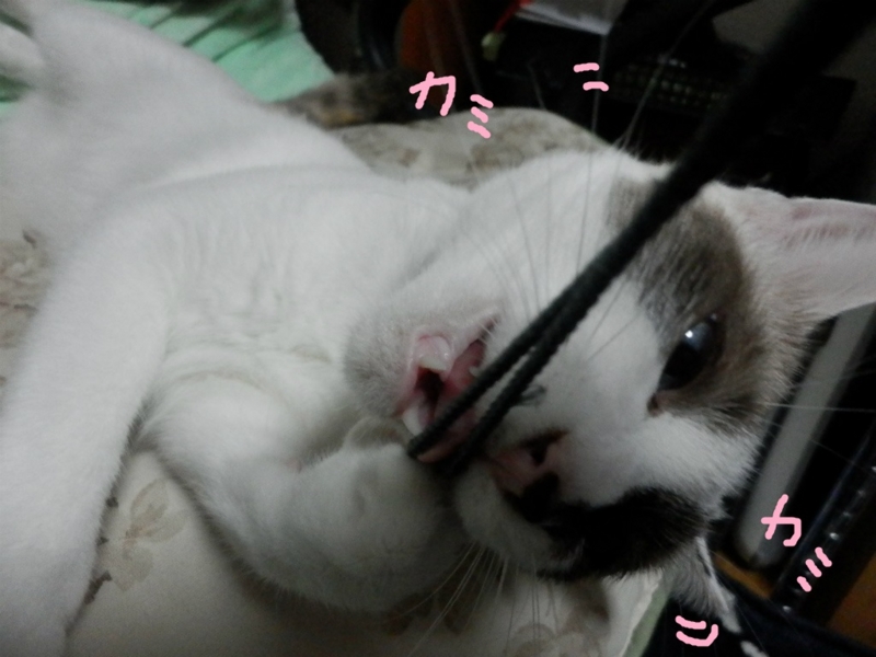 f:id:gosaku13:20130910091812j:image