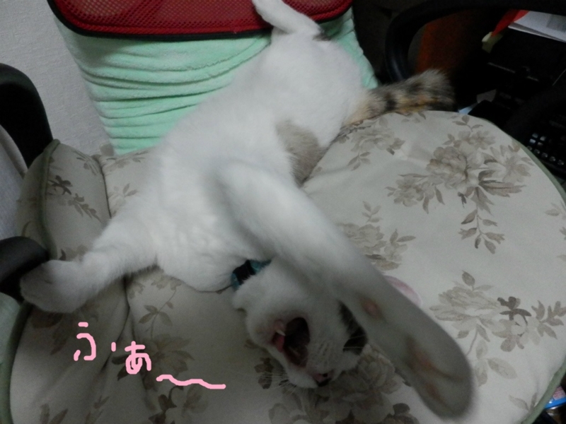 f:id:gosaku13:20130910091815j:image