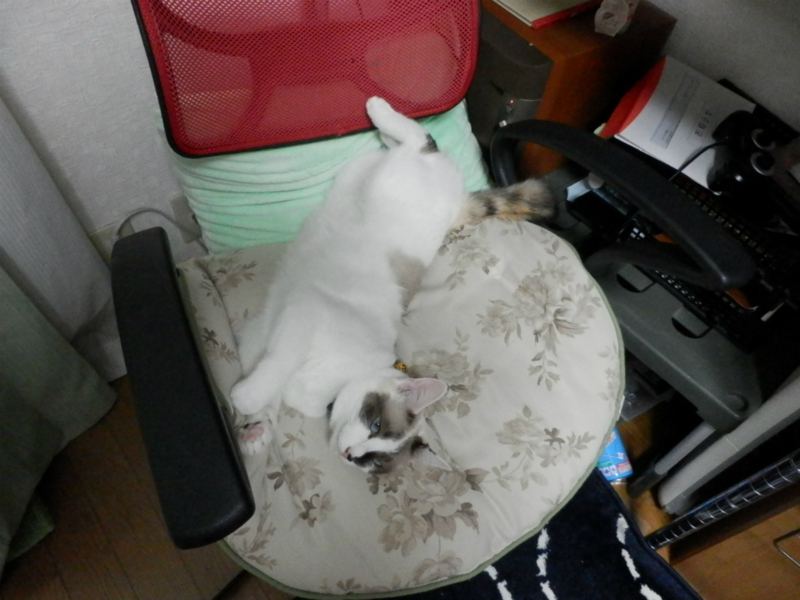 f:id:gosaku13:20130910091817j:image