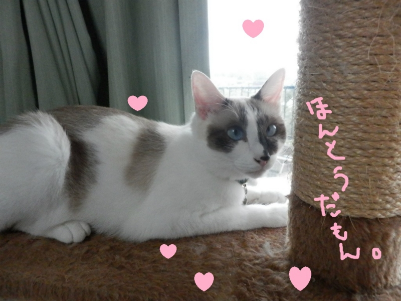 f:id:gosaku13:20130911172437j:image