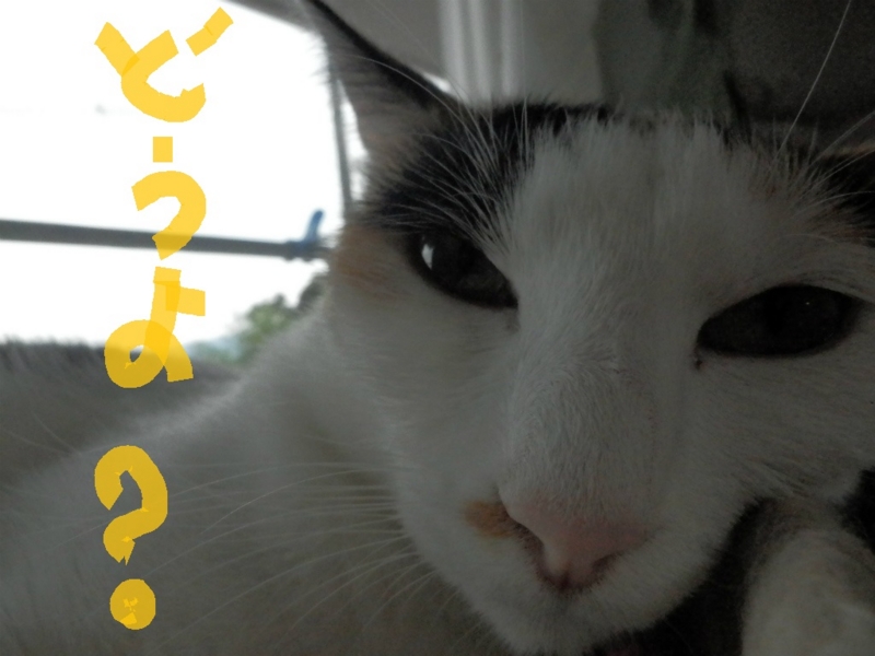 f:id:gosaku13:20130911172438j:image