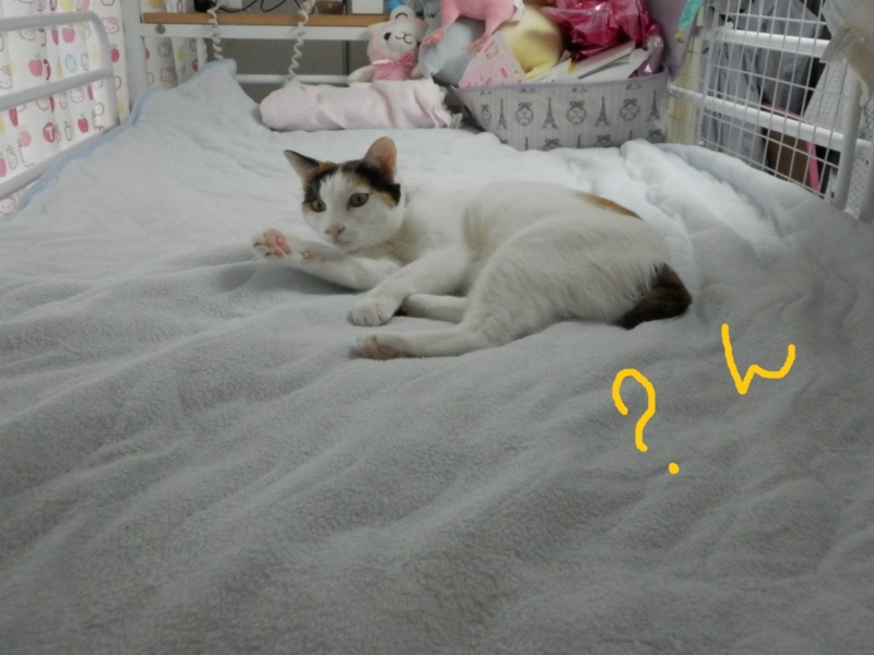 f:id:gosaku13:20130923200029j:image