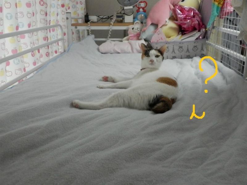 f:id:gosaku13:20130923200030j:image