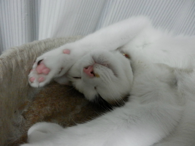 f:id:gosaku13:20130925143009j:image