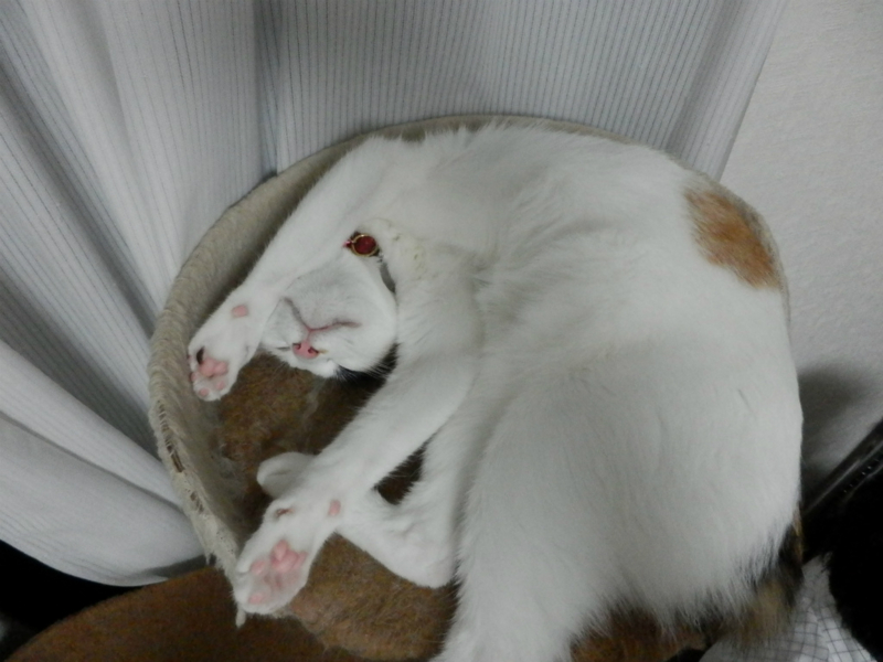 f:id:gosaku13:20130925143011j:image