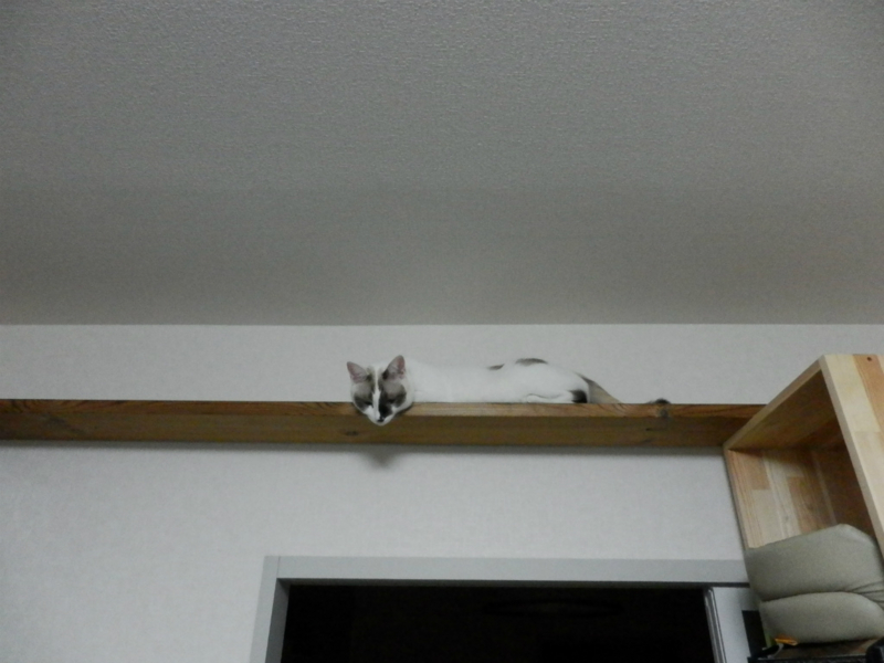 f:id:gosaku13:20130925143015j:image