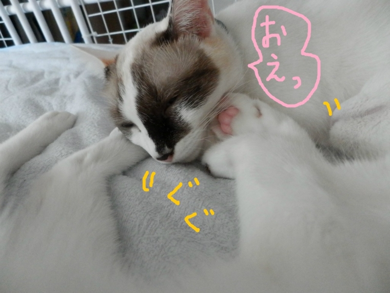 f:id:gosaku13:20131001132006j:image