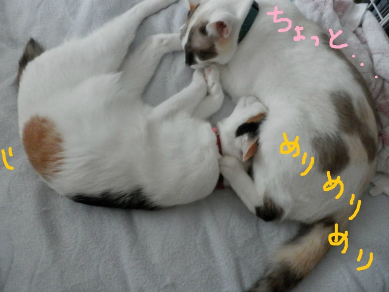 f:id:gosaku13:20131001132009j:image