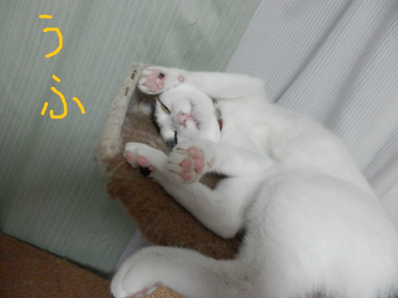 f:id:gosaku13:20131001132012j:image