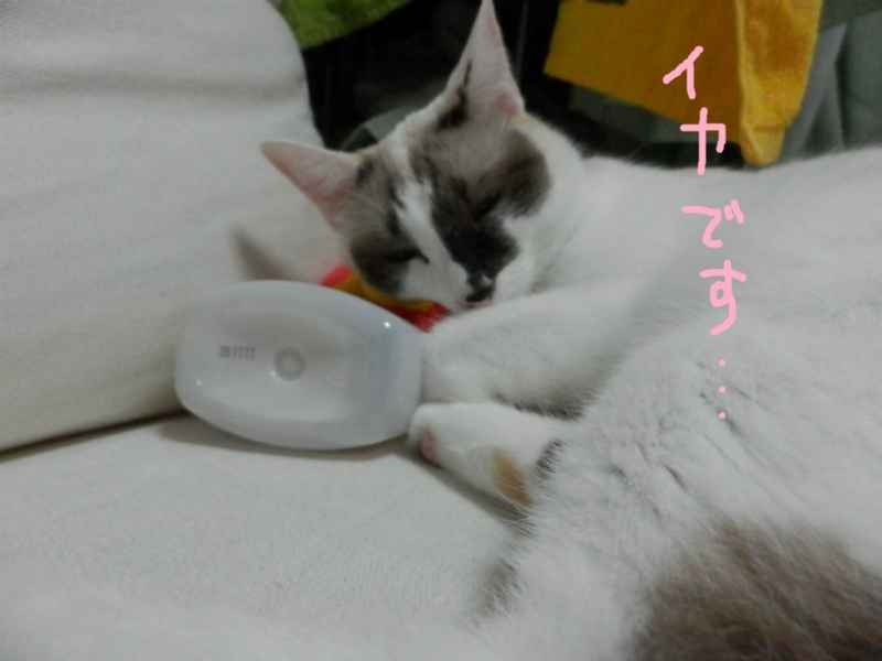 f:id:gosaku13:20131019124526j:image