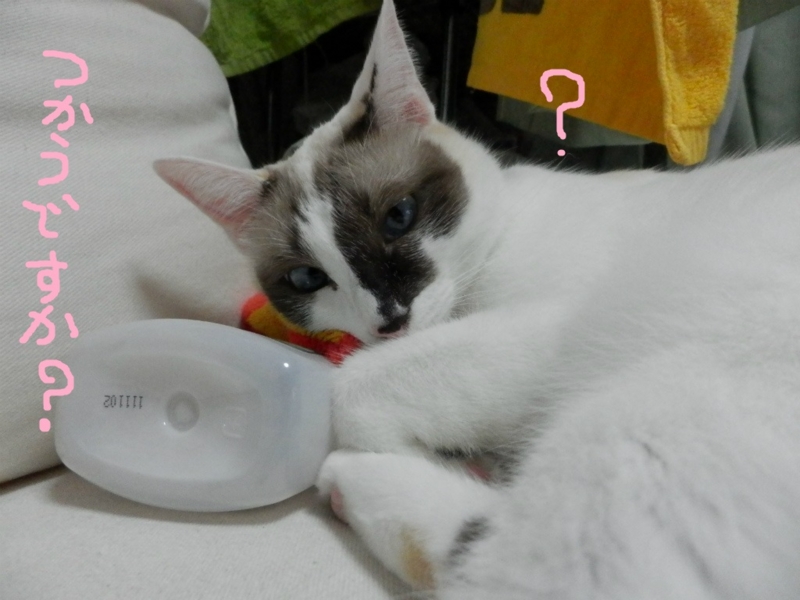 f:id:gosaku13:20131019124529j:image