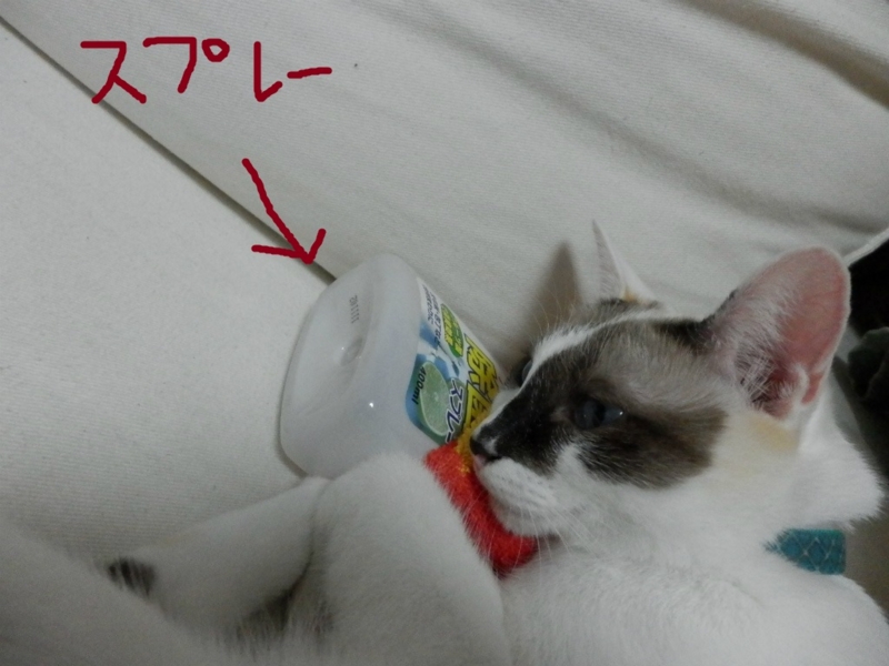 f:id:gosaku13:20131019124530j:image