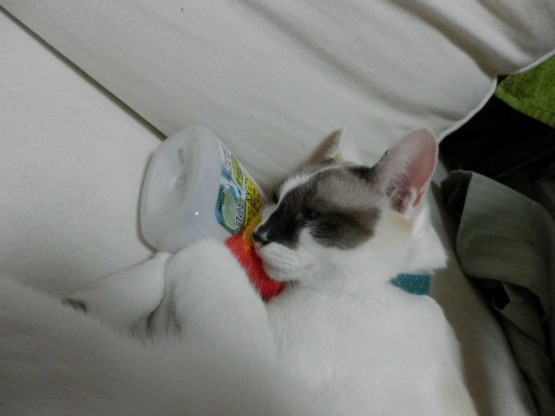 f:id:gosaku13:20131019124532j:image